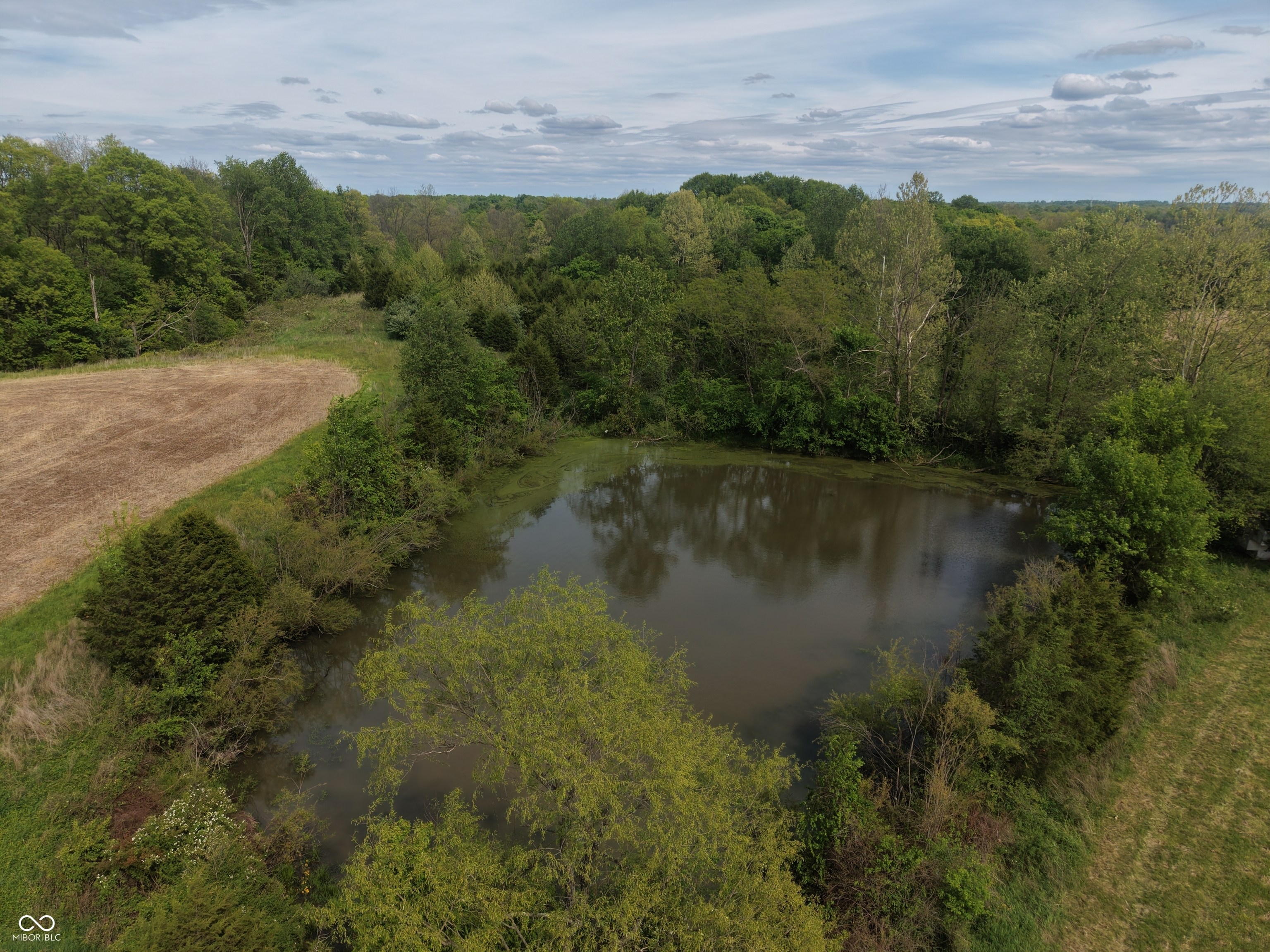 10992 North Barbersville Road Madison, IN 47250 - Photo 6 of 8