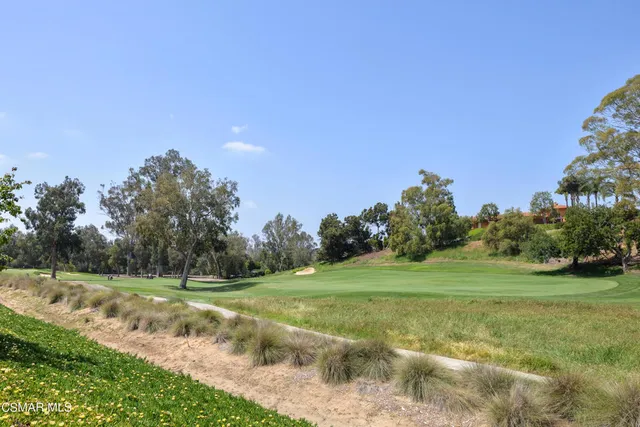 a view of a grassy field with trees in the background