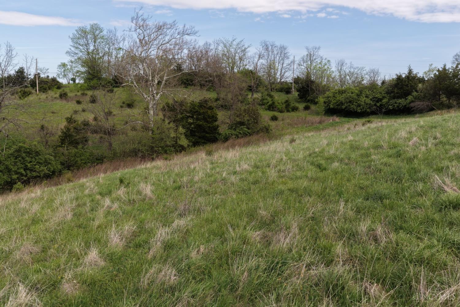 9951 Fishing Gut Road Aberdeen, OH 45101 - Photo 42 of 50