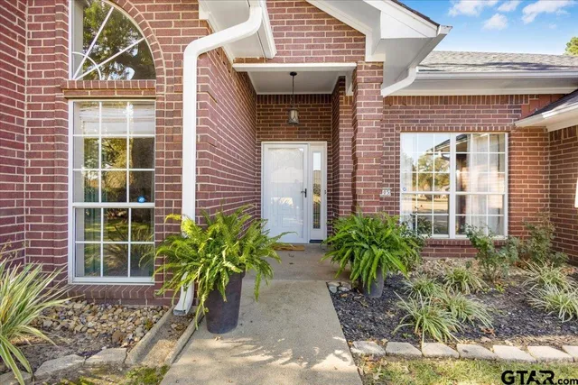 a potted plant in front of a house