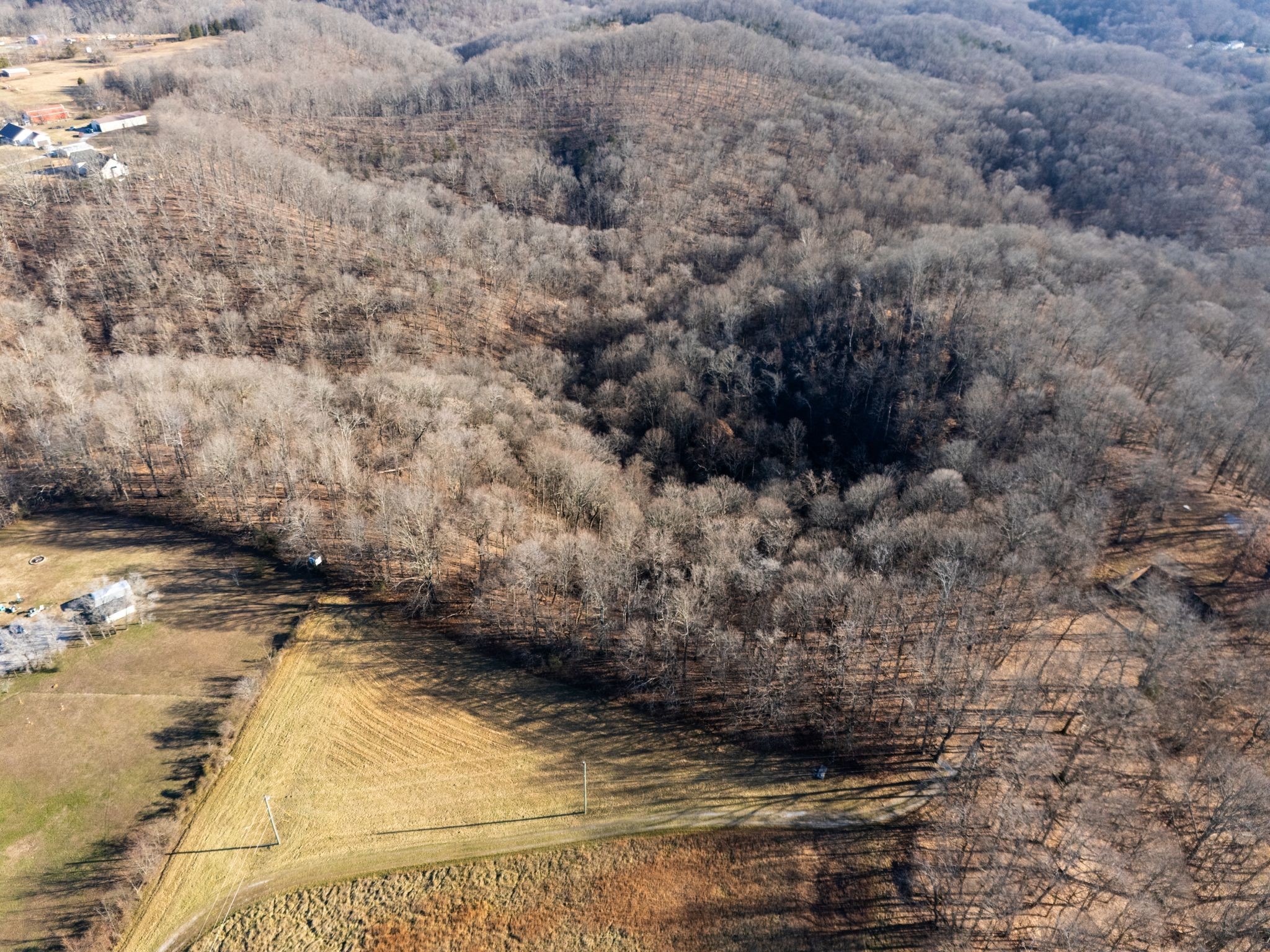 2846 Greer Road Goodlettsville, TN 37072 - Photo 12 of 15