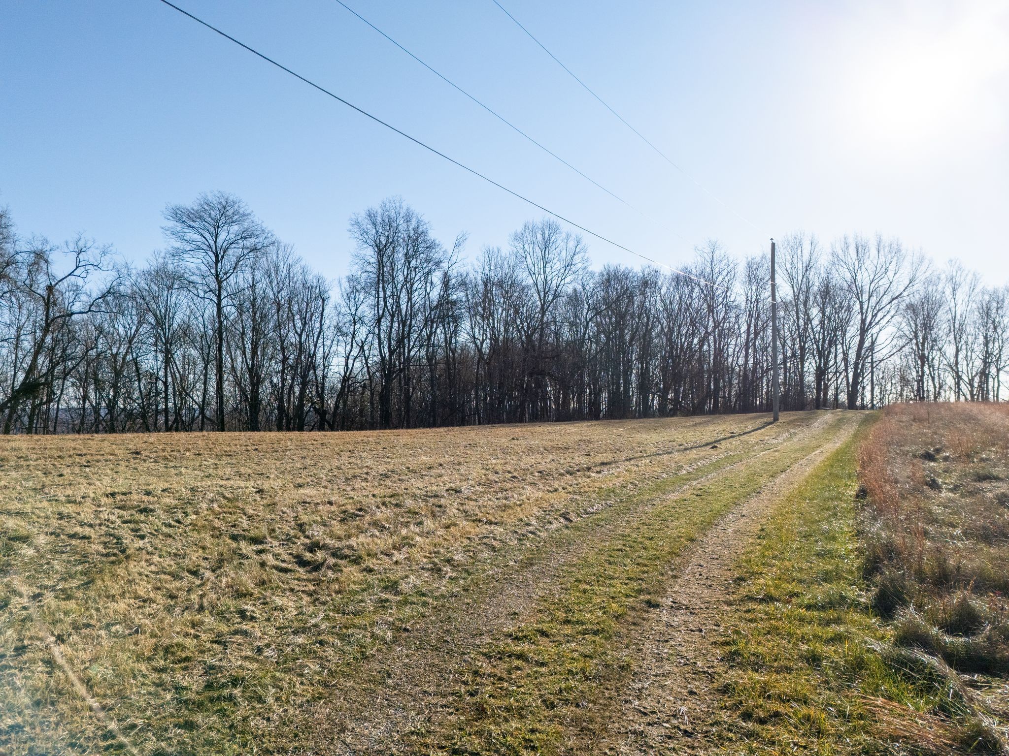 2846 Greer Road Goodlettsville, TN 37072 - Photo 6 of 15