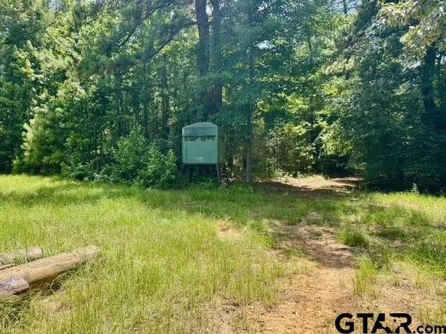 a view of road with trees