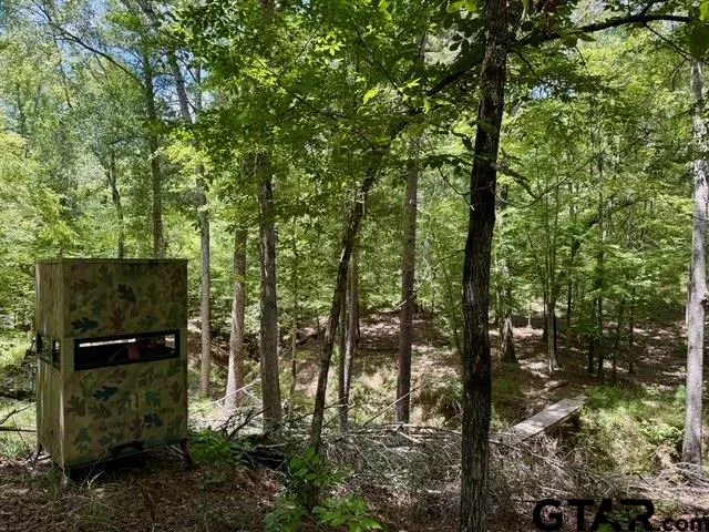 a view of park space