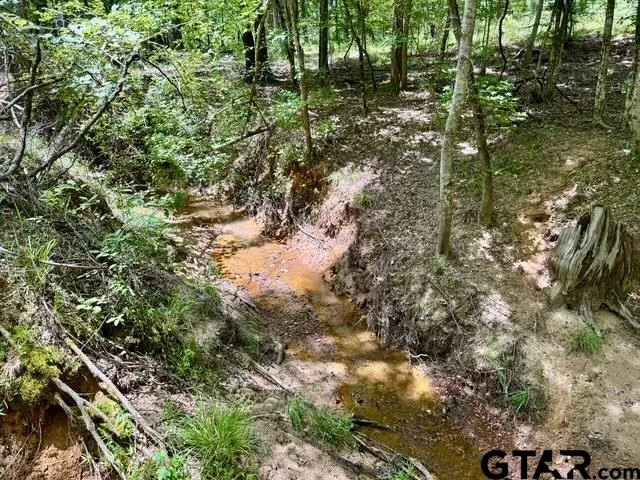 a view of a bench in the backyard