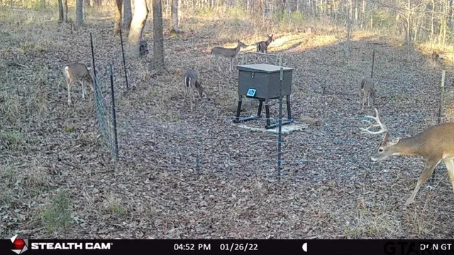 $635,000 | 629 Acr 1215, Grapeland, TX 75844