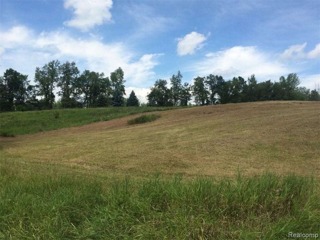 Vl Hosner Road Oxford, MI 48370 - Photo 2 of 11