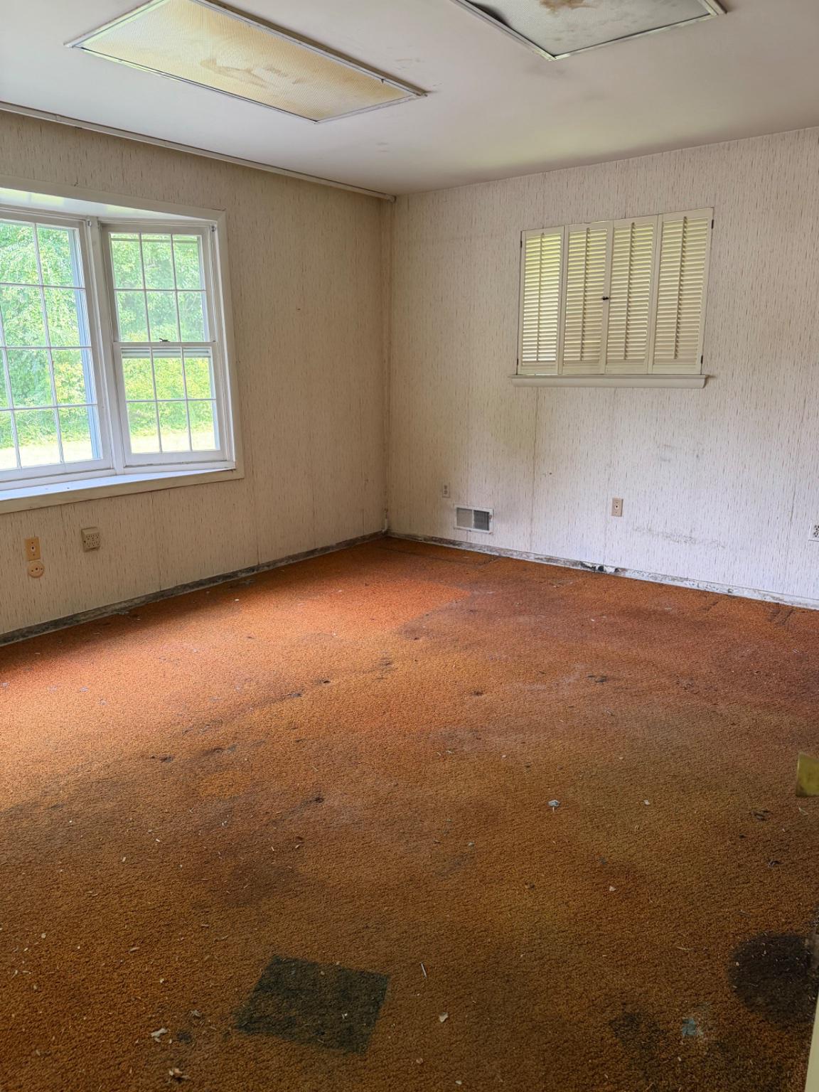 913 Windmill Lane Silver Spring, MD 20905 - Photo 16 of 19 Spacious room with natural light.