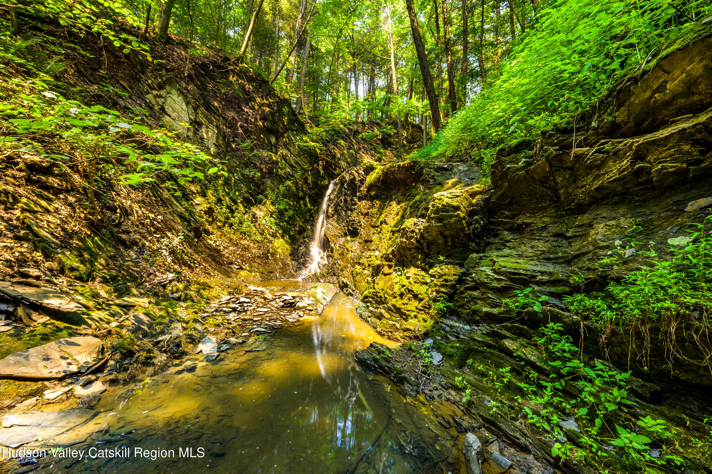 520 Ridge Road Stuyvesant, NY 12156 - Photo 42 of 68 a view of tree
