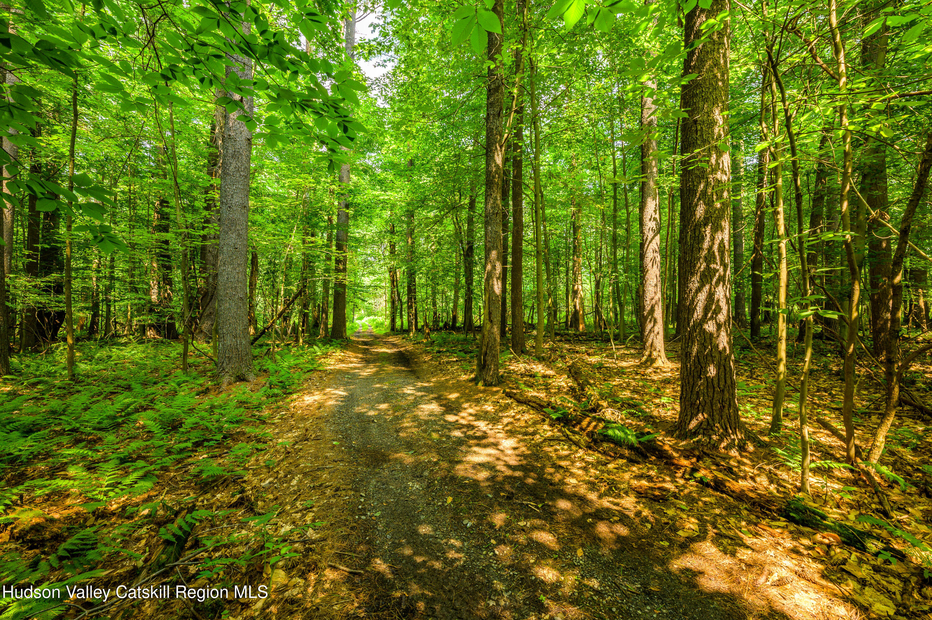 520 Ridge Road Stuyvesant, NY 12156 - Photo 45 of 68 a view of outdoor space and trees