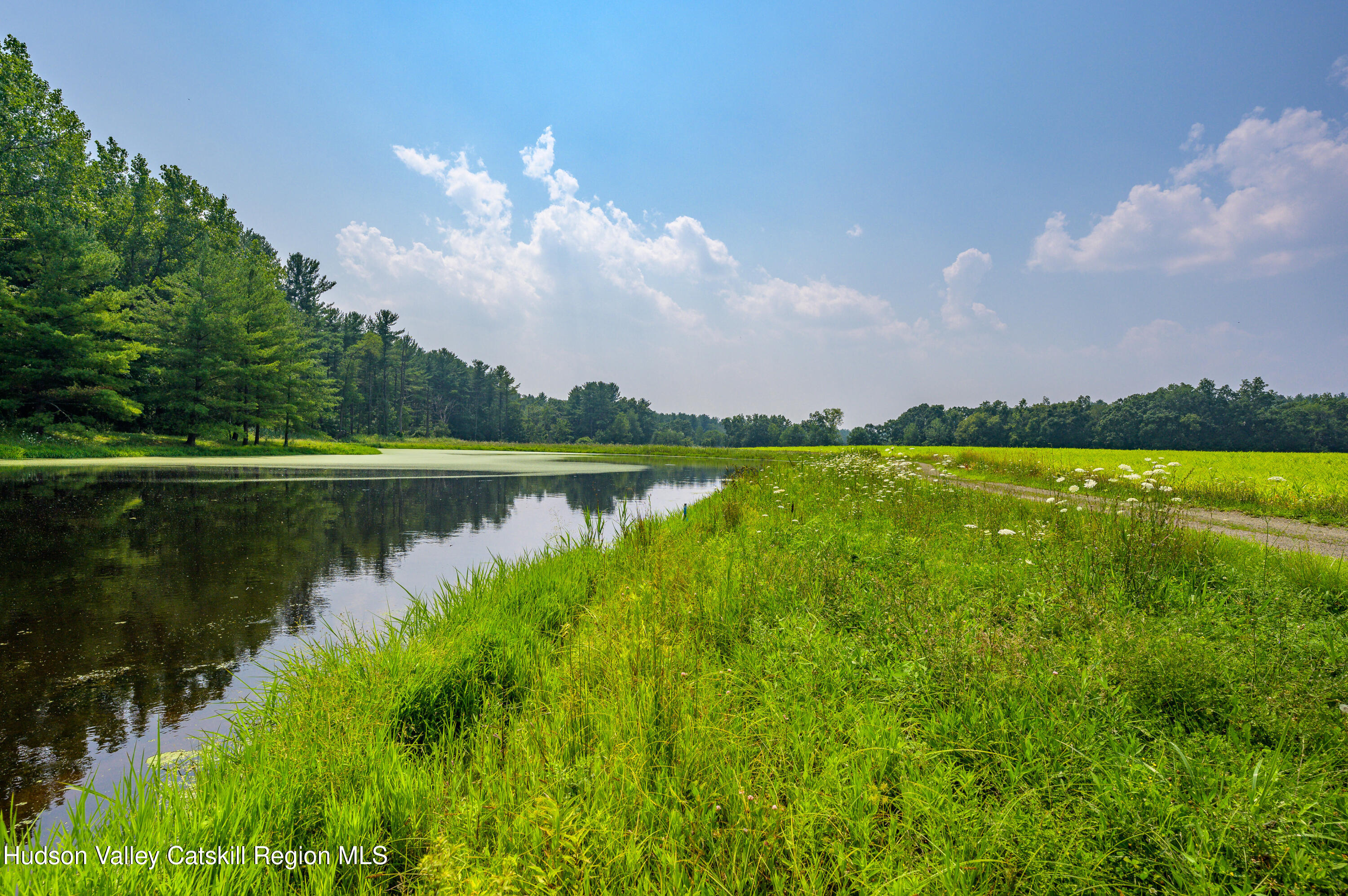 520 Ridge Road Stuyvesant, NY 12156 - Photo 46 of 68 a view of a lake with a big yard