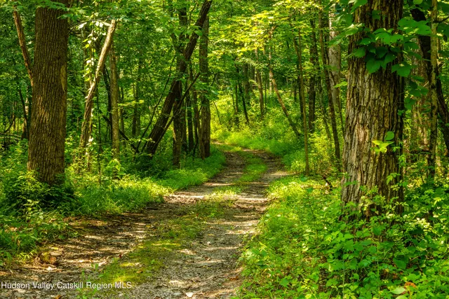 $4,200,000 | 520 Ridge Road, Stuyvesant, NY 12156