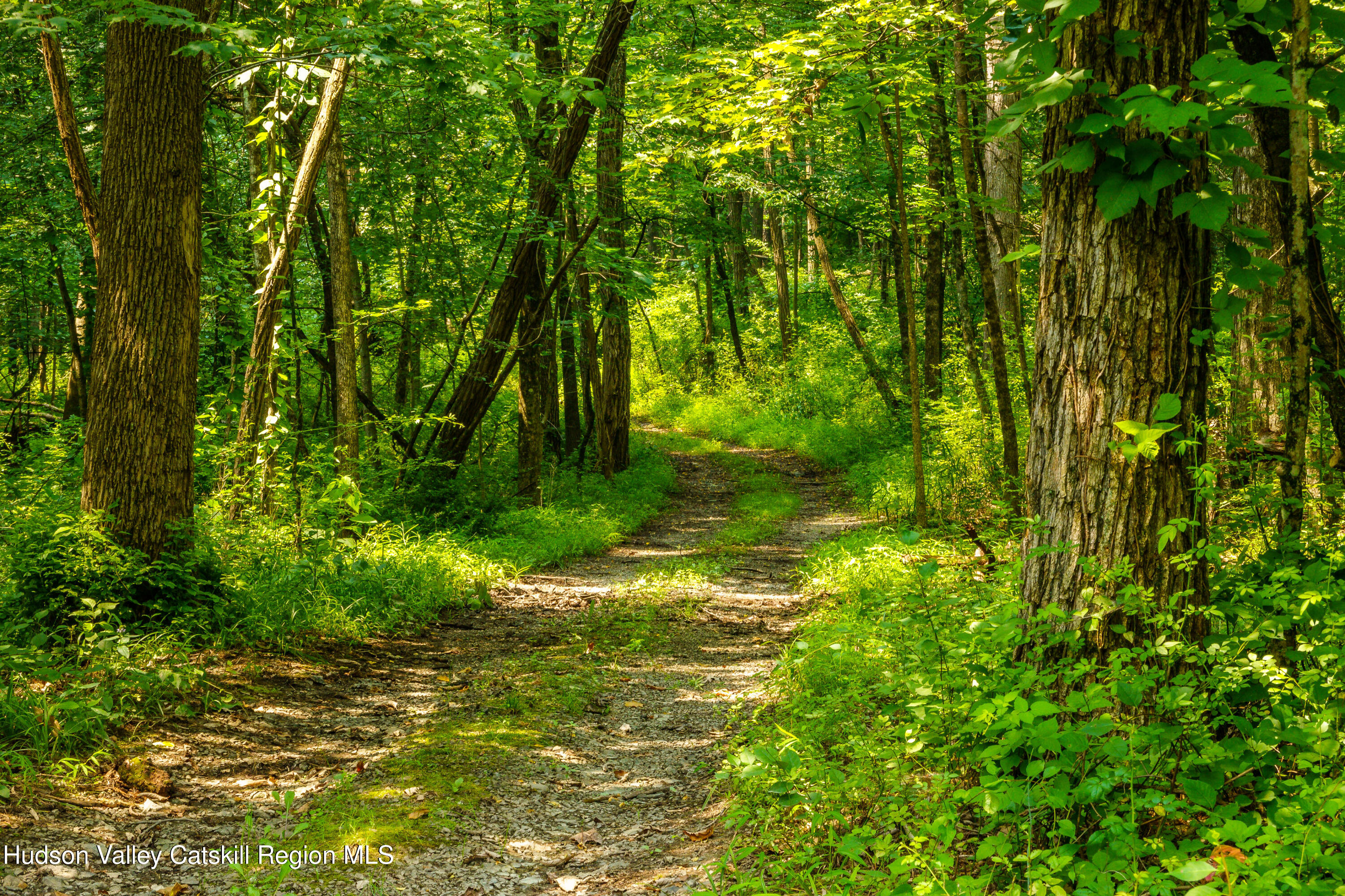 520 Ridge Road Stuyvesant, NY 12156 - Photo 66 of 68 a backyard of a house with lots of green space and garden