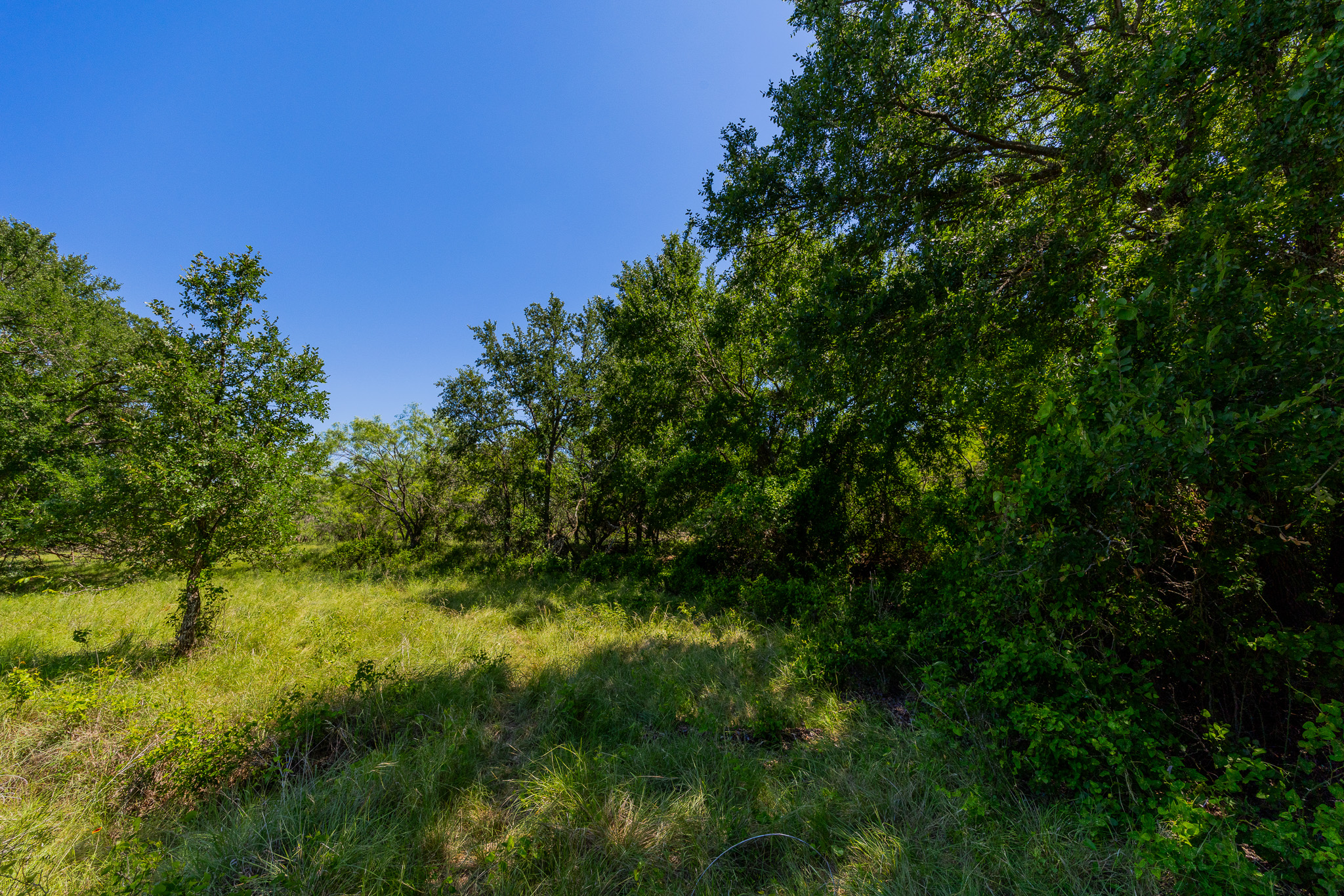 180 Rd Purmela Tx 76566 Road Purmela, TX 76566 - Photo 20 of 27 Gallery Image 20