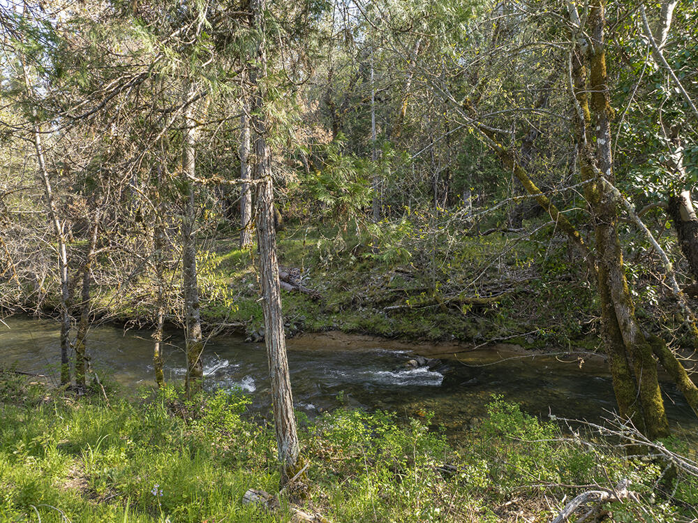 1685 Cedar Flat Road Williams, OR 97544 - Photo 49 of 60 49