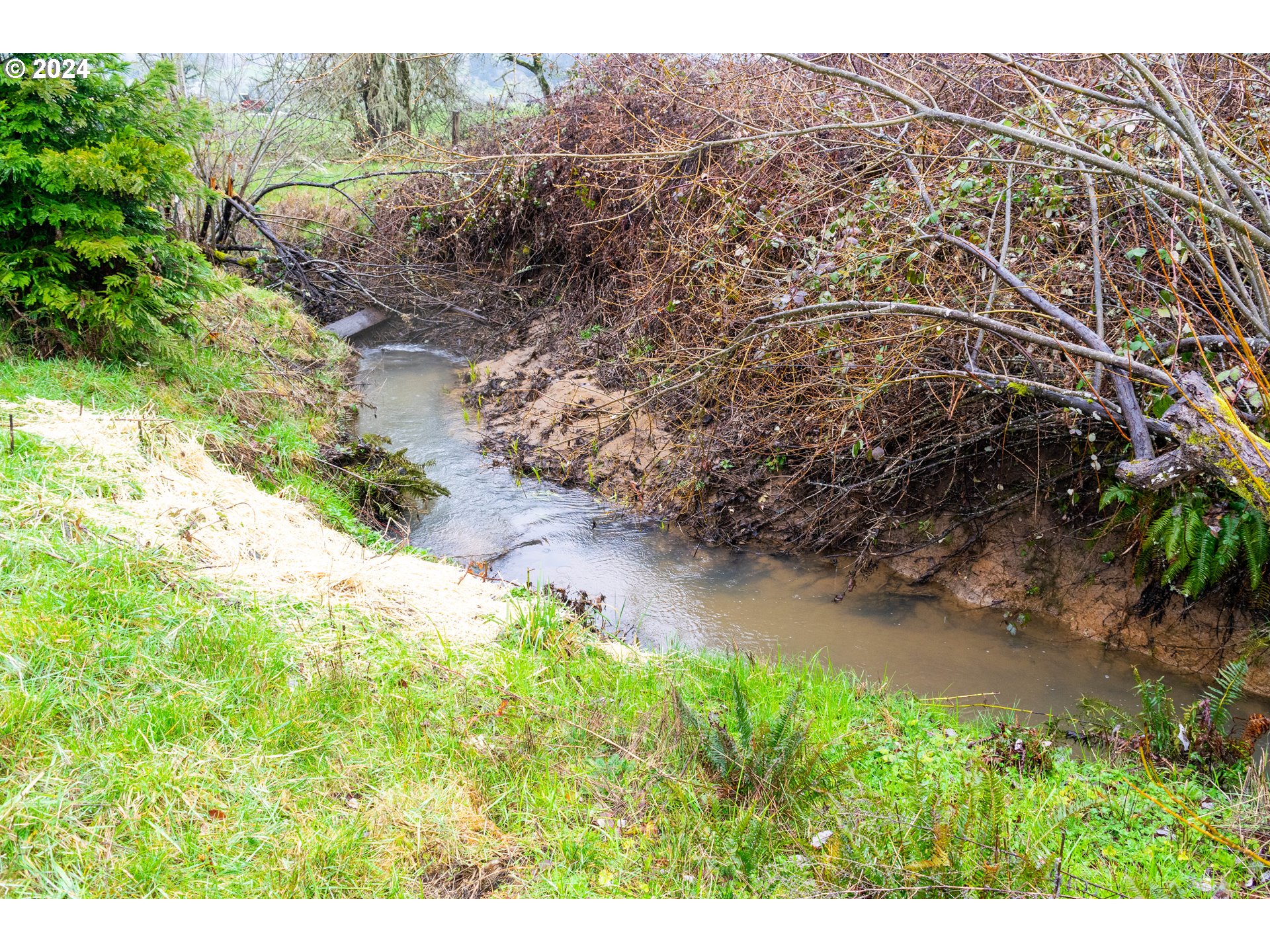 28157 Cottage Grove Lorane Road Cottage Grove, OR 97424 - Photo 24 of 33 a view of a yard with an outdoor space