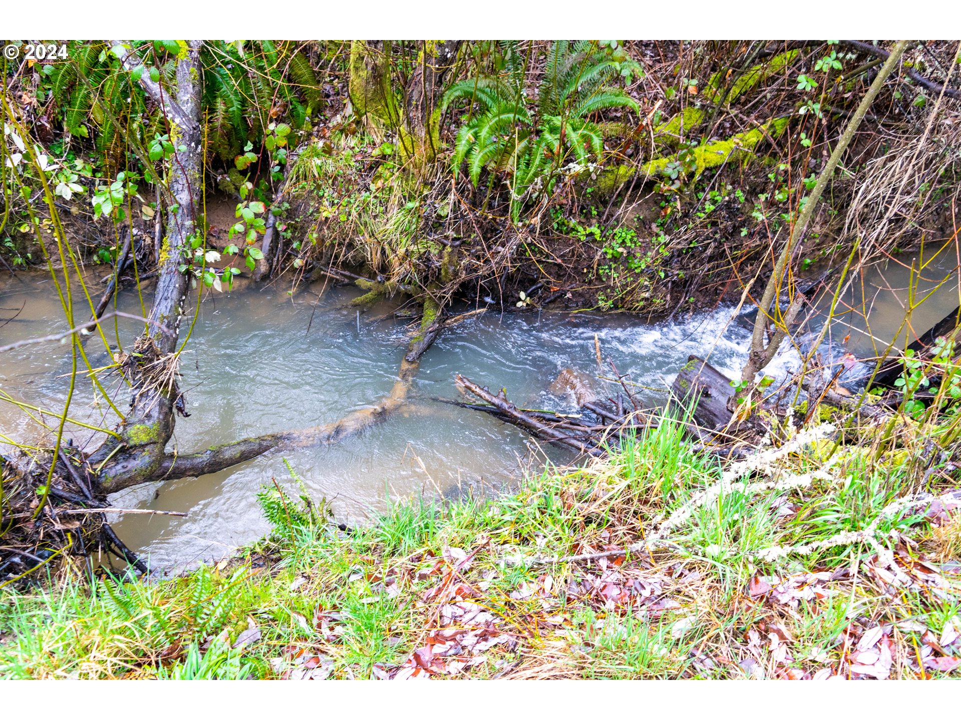 28157 Cottage Grove Lorane Road Cottage Grove, OR 97424 - Photo 25 of 33 a backyard of a house with lots of green space