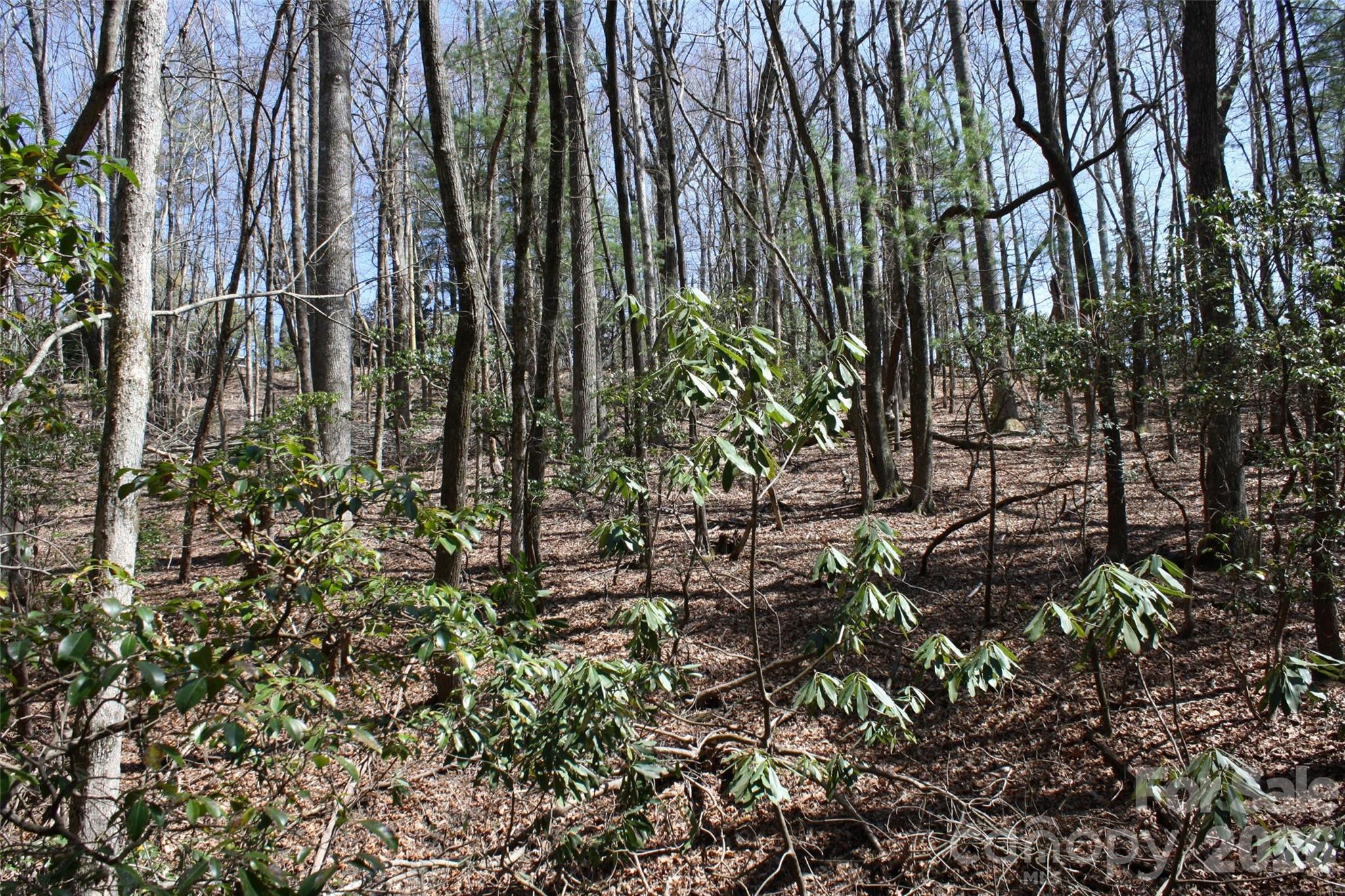 0 Slick Rock Road Brevard, NC 28712 - Photo 5 of 9