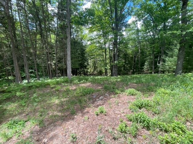 5522 Karlin Road Interlochen, MI 49643 - Photo 15 of 25