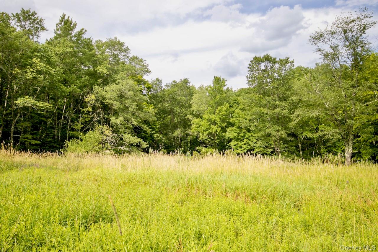 668 Starlight Road Monticello, NY 12701 - Photo 25 of 30 Gallery Image 25