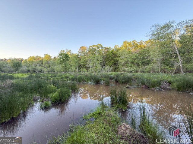 0 Moore Road Elberton, GA 30635 - Photo 42 of 67