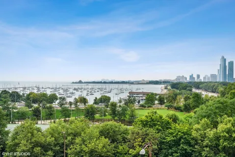 a view of a park with large trees