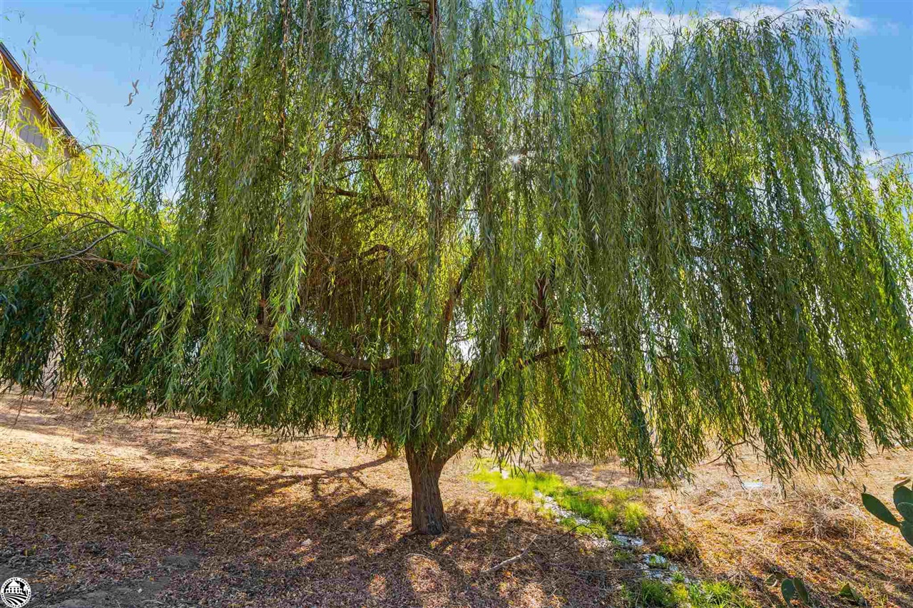 3102 Quail Hill Road Copperopolis, CA 95228 - Photo 56 of 60 a view of backyard of green space