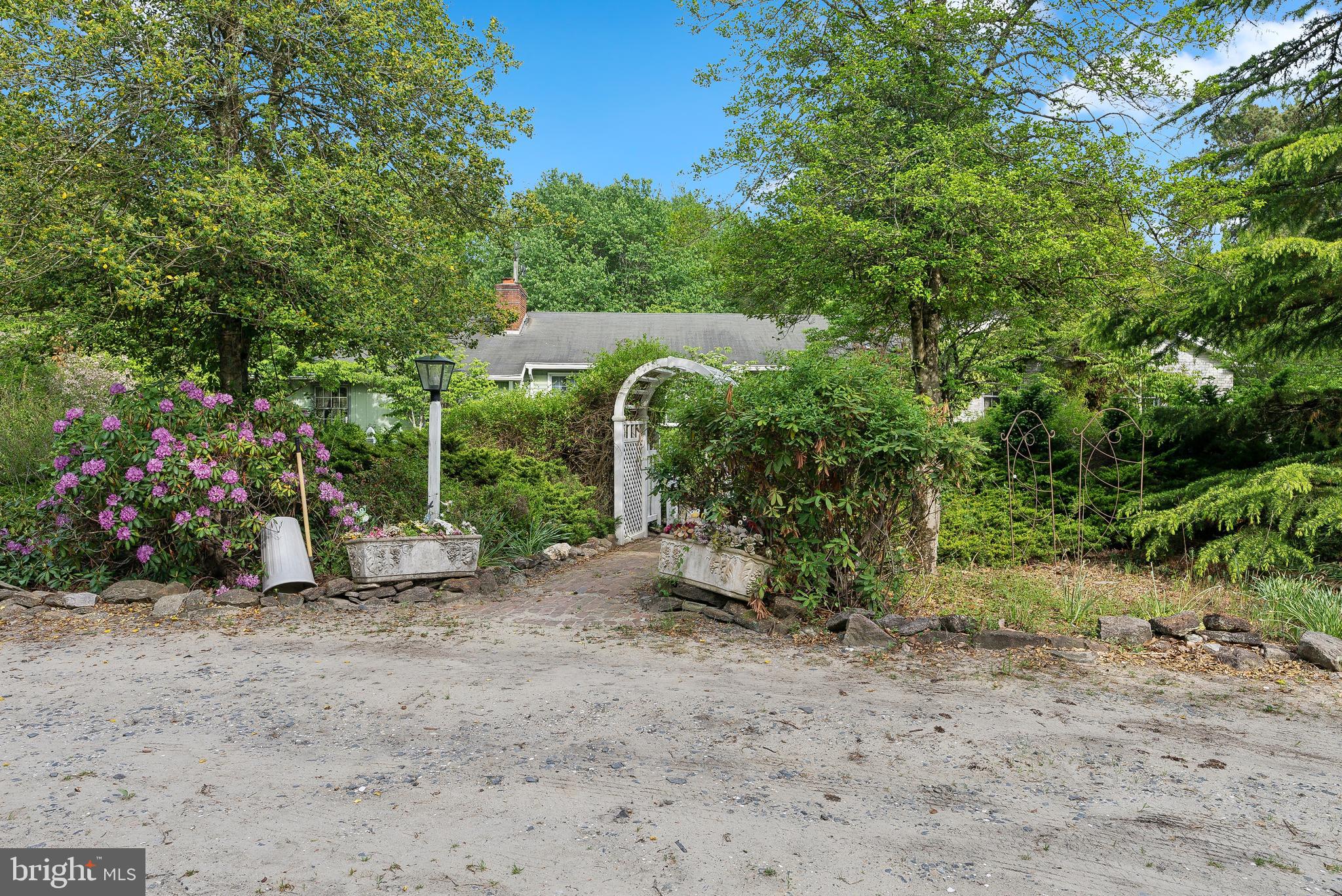 a view of a field with a tree and plants