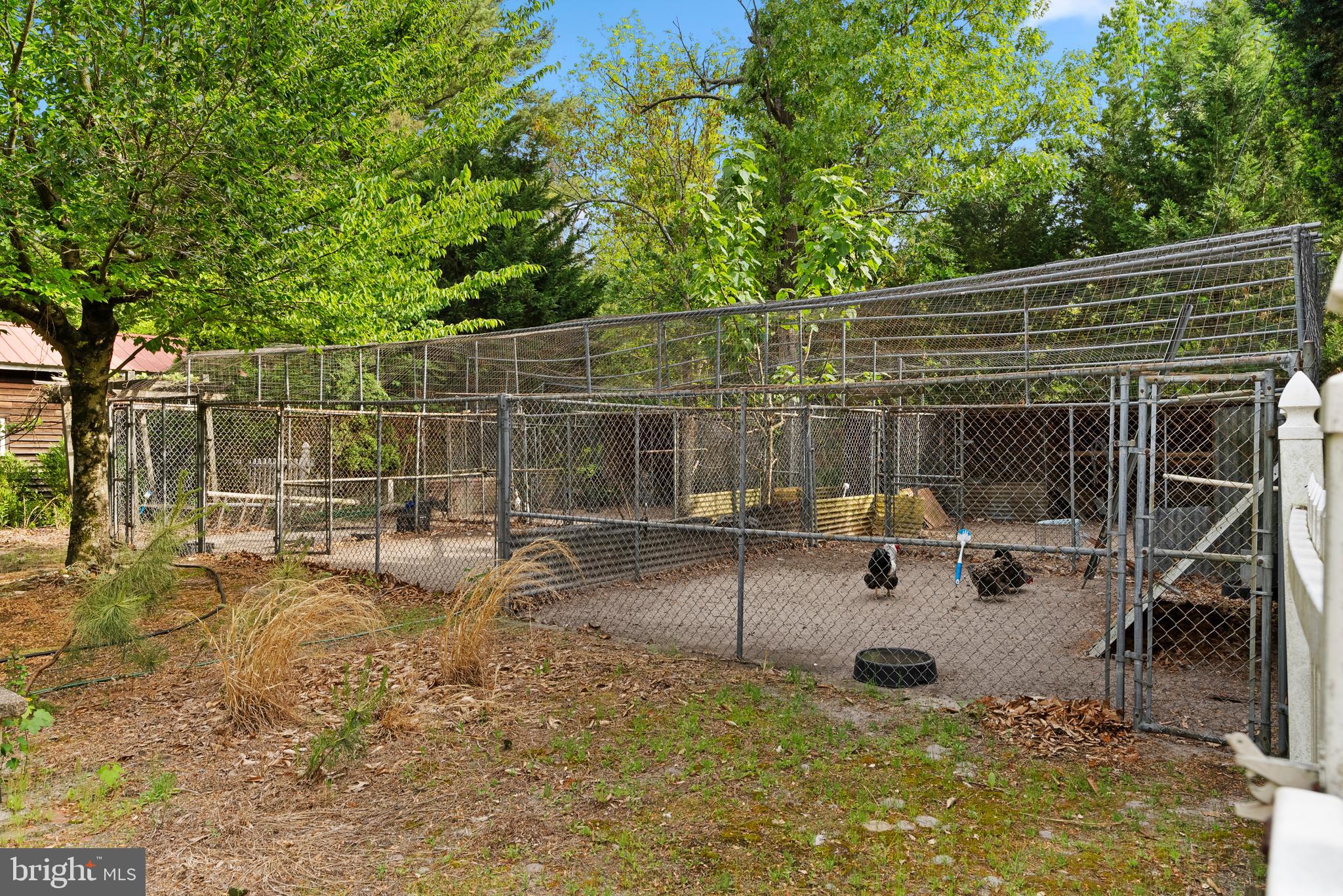 305 Hopewell Road Medford, NJ 08055 - Photo 26 of 30 a view of a swimming pool with chairs