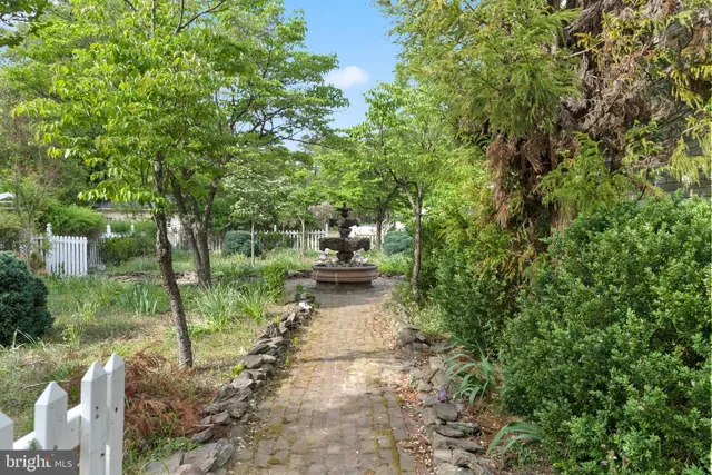 a view of a yard with plants and large trees