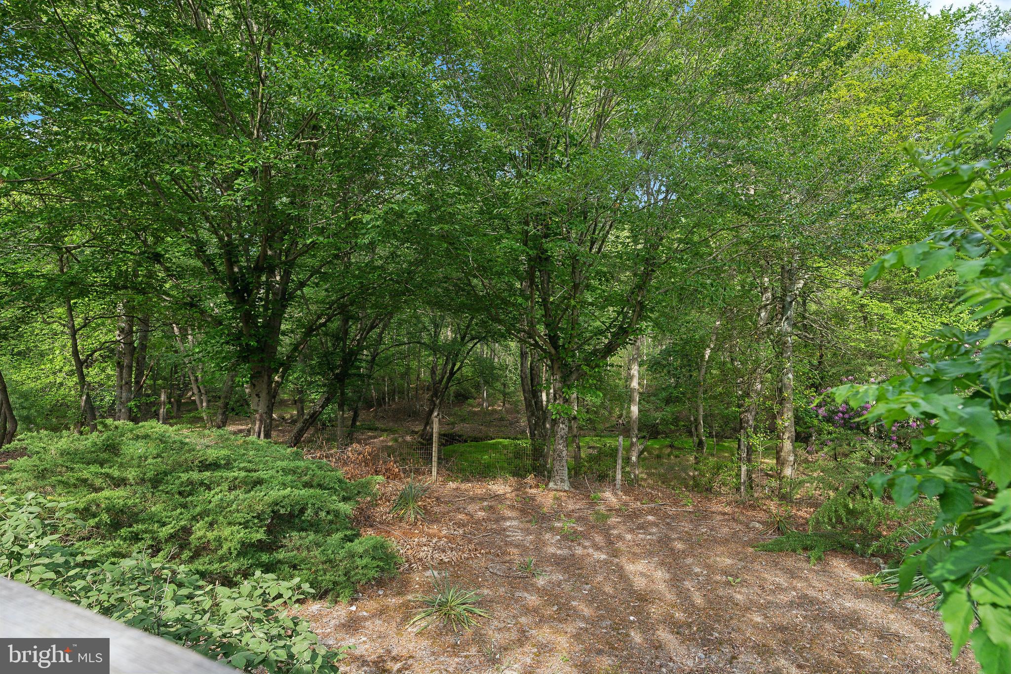 305 Hopewell Road Medford, NJ 08055 - Photo 30 of 30 a view of outdoor space with green field and trees