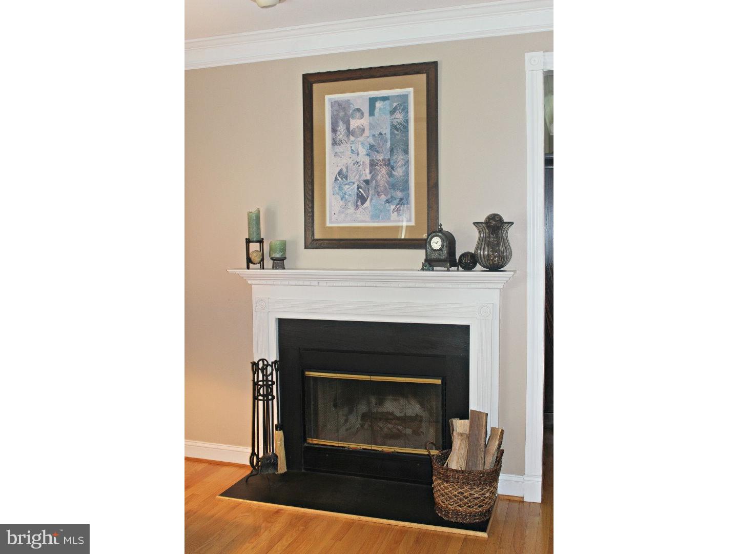4700 Cheshire Road Doylestown, PA 18902 - Photo 8 of 25 Fireplace