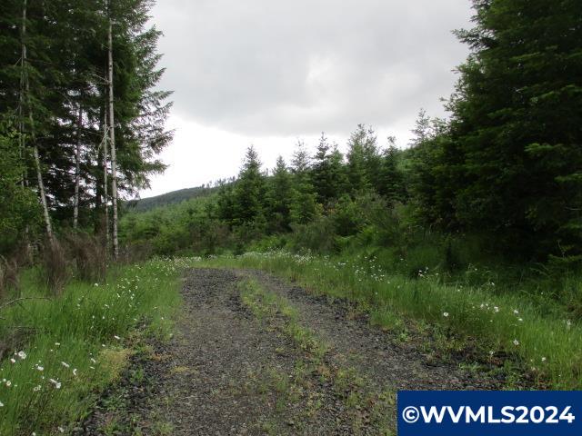 0 Northwest Fairdale Road Yamhill, OR 97148 - Photo 10 of 27