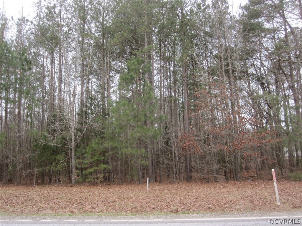 6299 South Hill Road Kenbridge, VA 23944 - Photo 3 of 8 a view of a forest