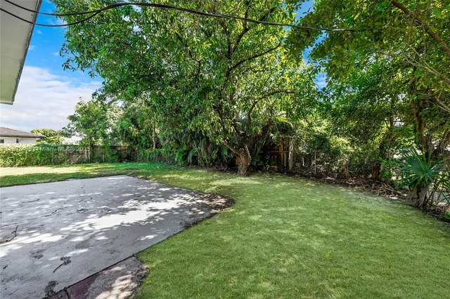 a view of a yard with plants and trees