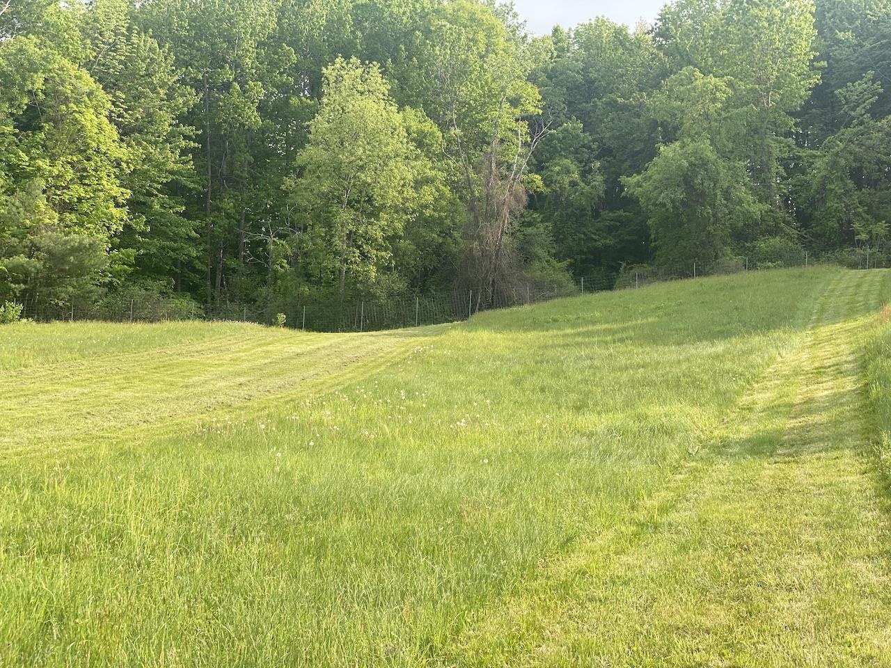 0 Poocham Road West Chesterfield, NH 03466 - Photo 1 of 18