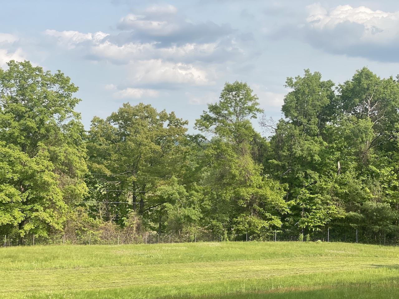 0 Poocham Road West Chesterfield, NH 03466 - Photo 11 of 18