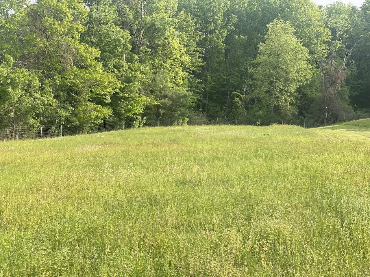 0 Poocham Road West Chesterfield, NH 03466 - Photo 4 of 18