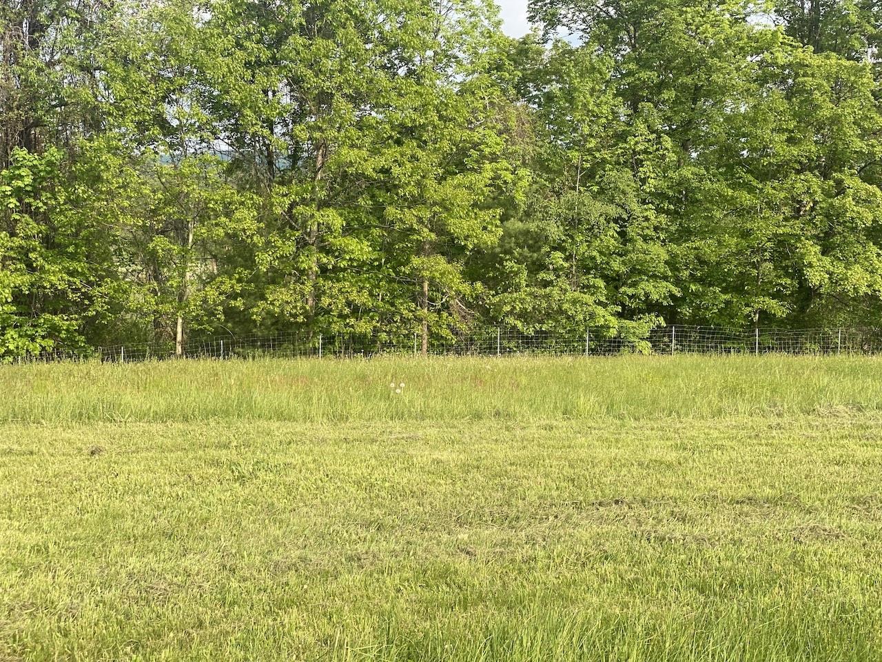 0 Poocham Road West Chesterfield, NH 03466 - Photo 5 of 18