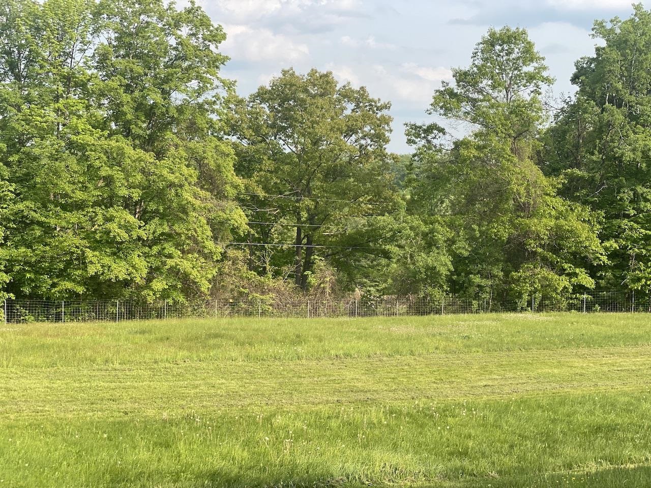 0 Poocham Road West Chesterfield, NH 03466 - Photo 6 of 18