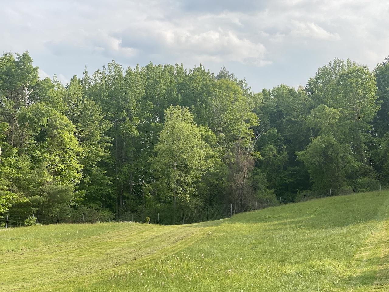 0 Poocham Road West Chesterfield, NH 03466 - Photo 8 of 18
