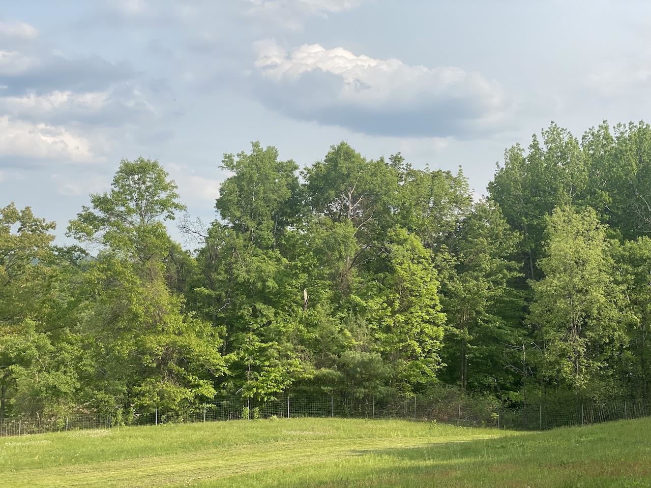 0 Poocham Road West Chesterfield, NH 03466 - Photo 9 of 18