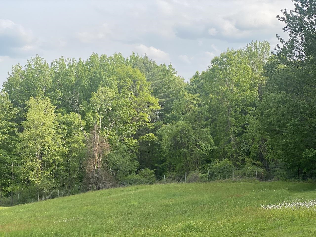 0 Poocham Road West Chesterfield, NH 03466 - Photo 10 of 18
