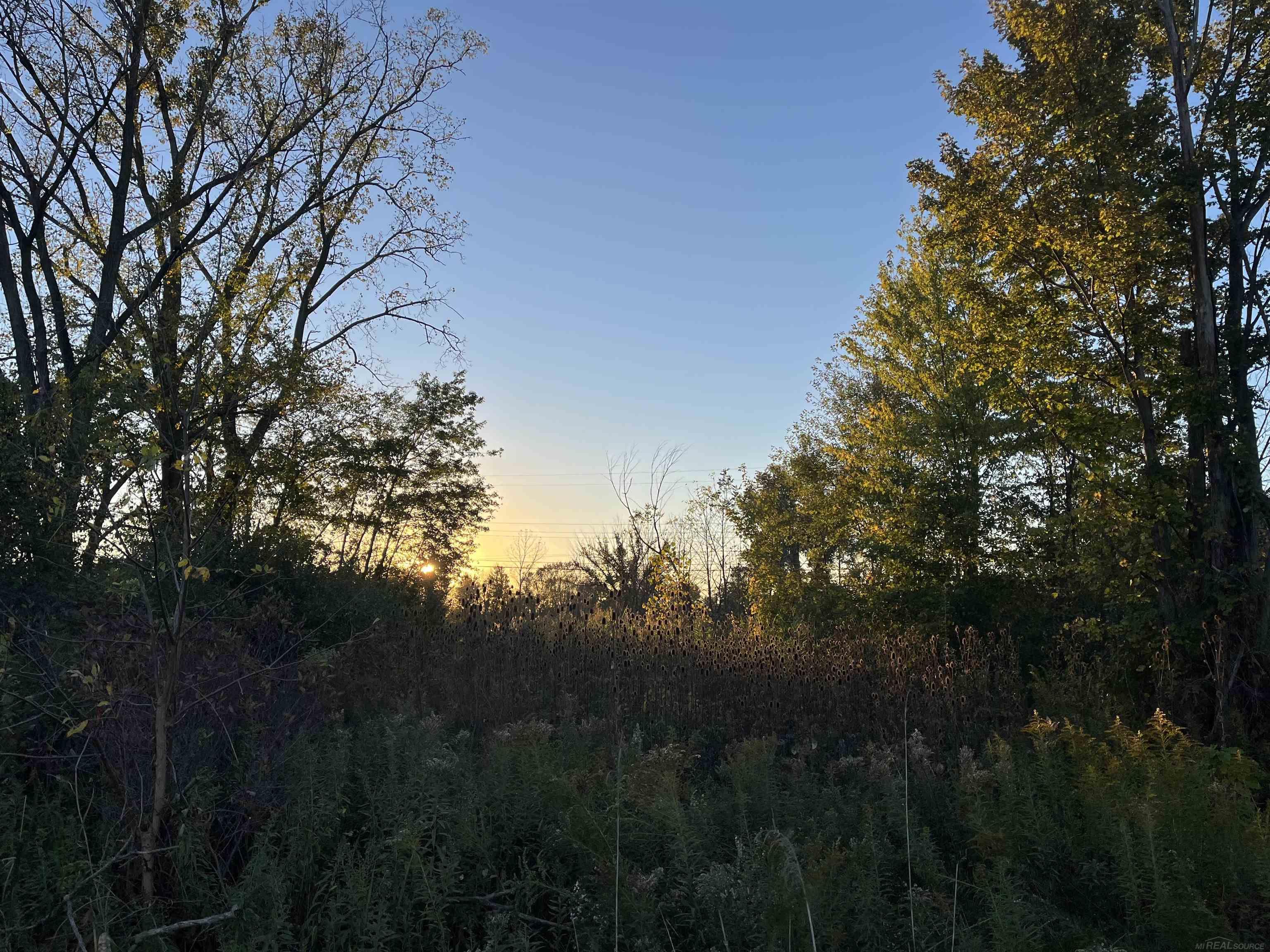 North Avenue Ray, MI 48096 - Photo 1 of 1