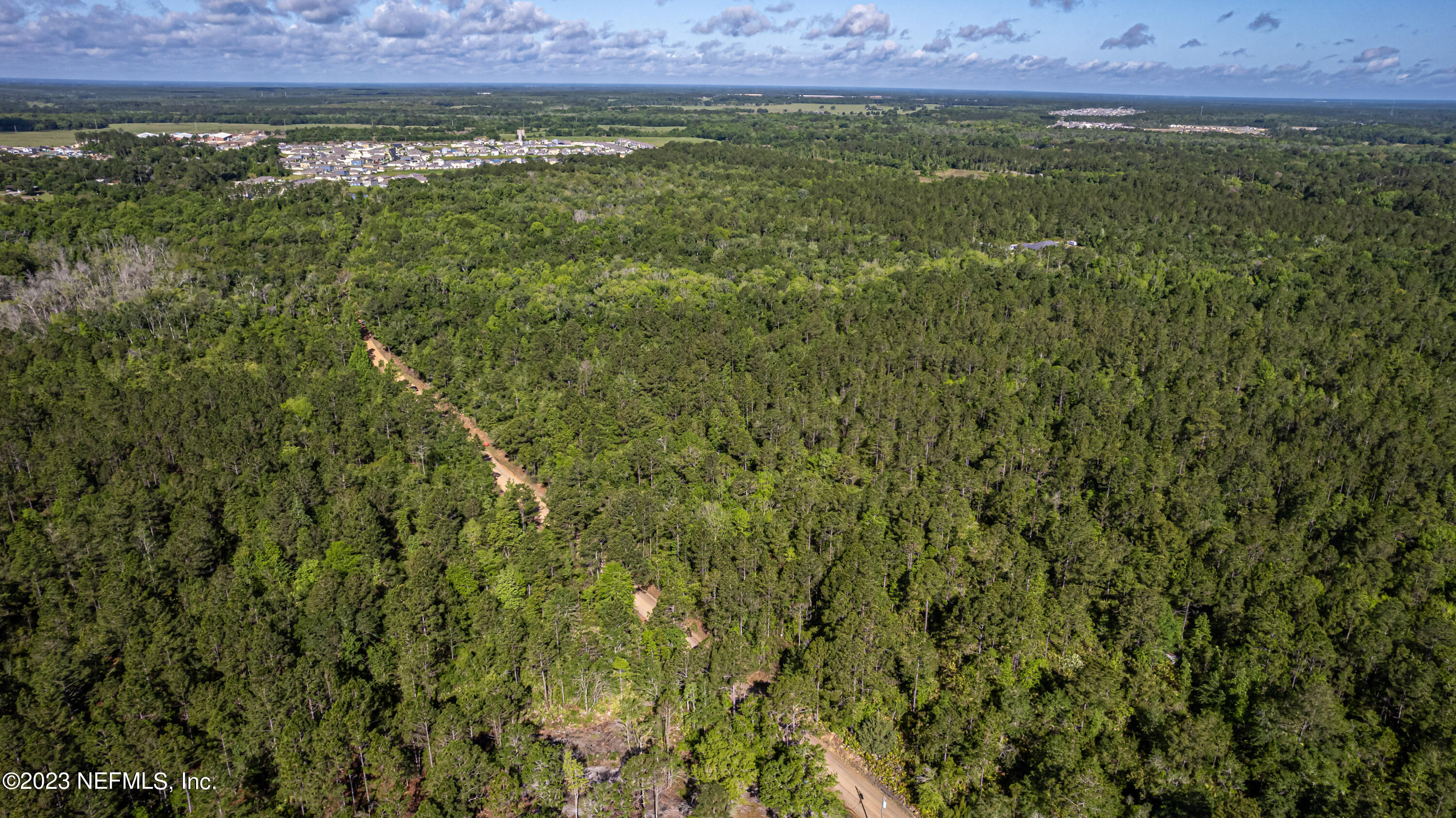 0 Shedd Road Green Cove Springs, FL 32043 - Photo 12 of 20 a view of a lush green field