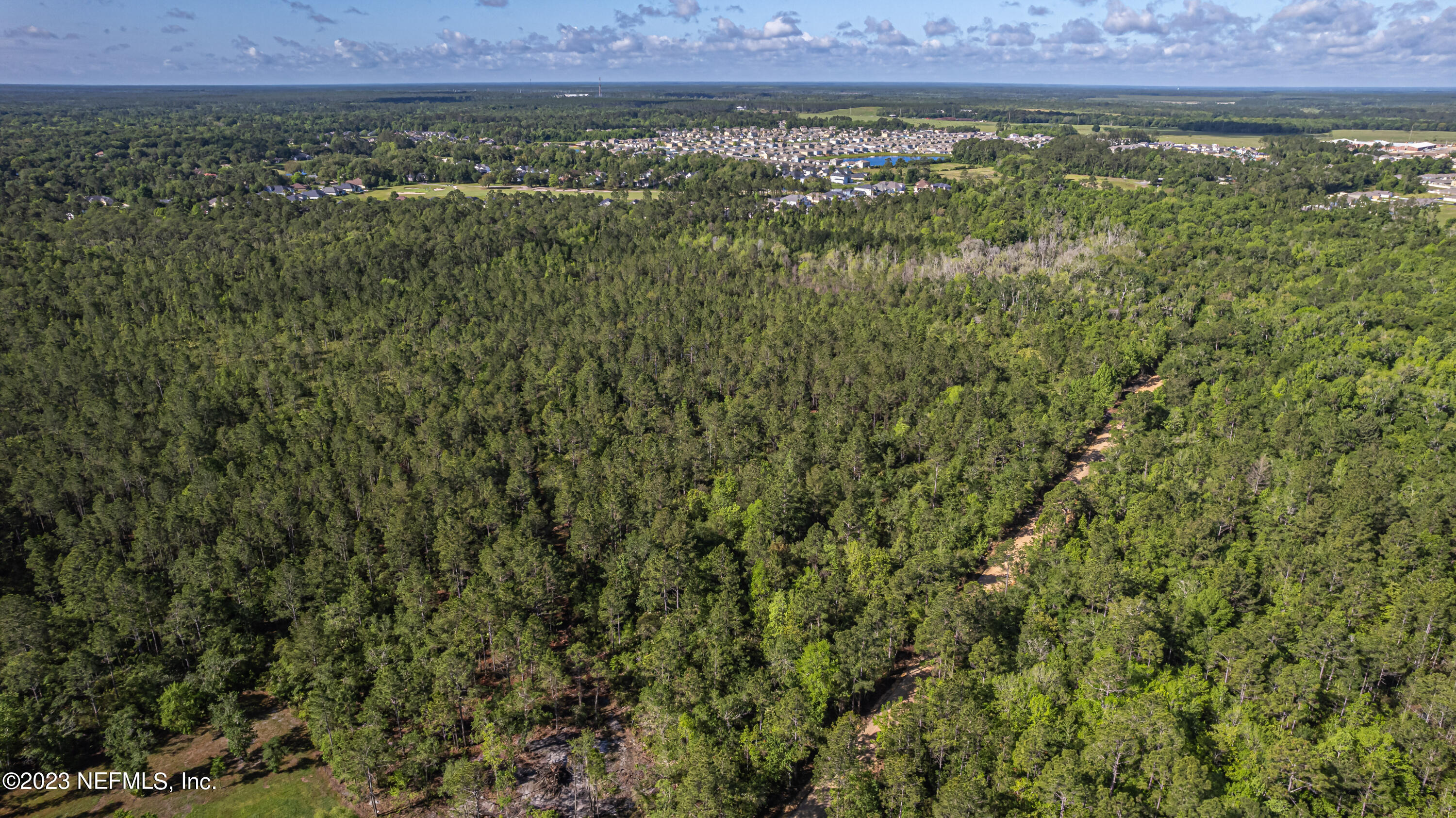 0 Shedd Road Green Cove Springs, FL 32043 - Photo 13 of 20 a view of a yard