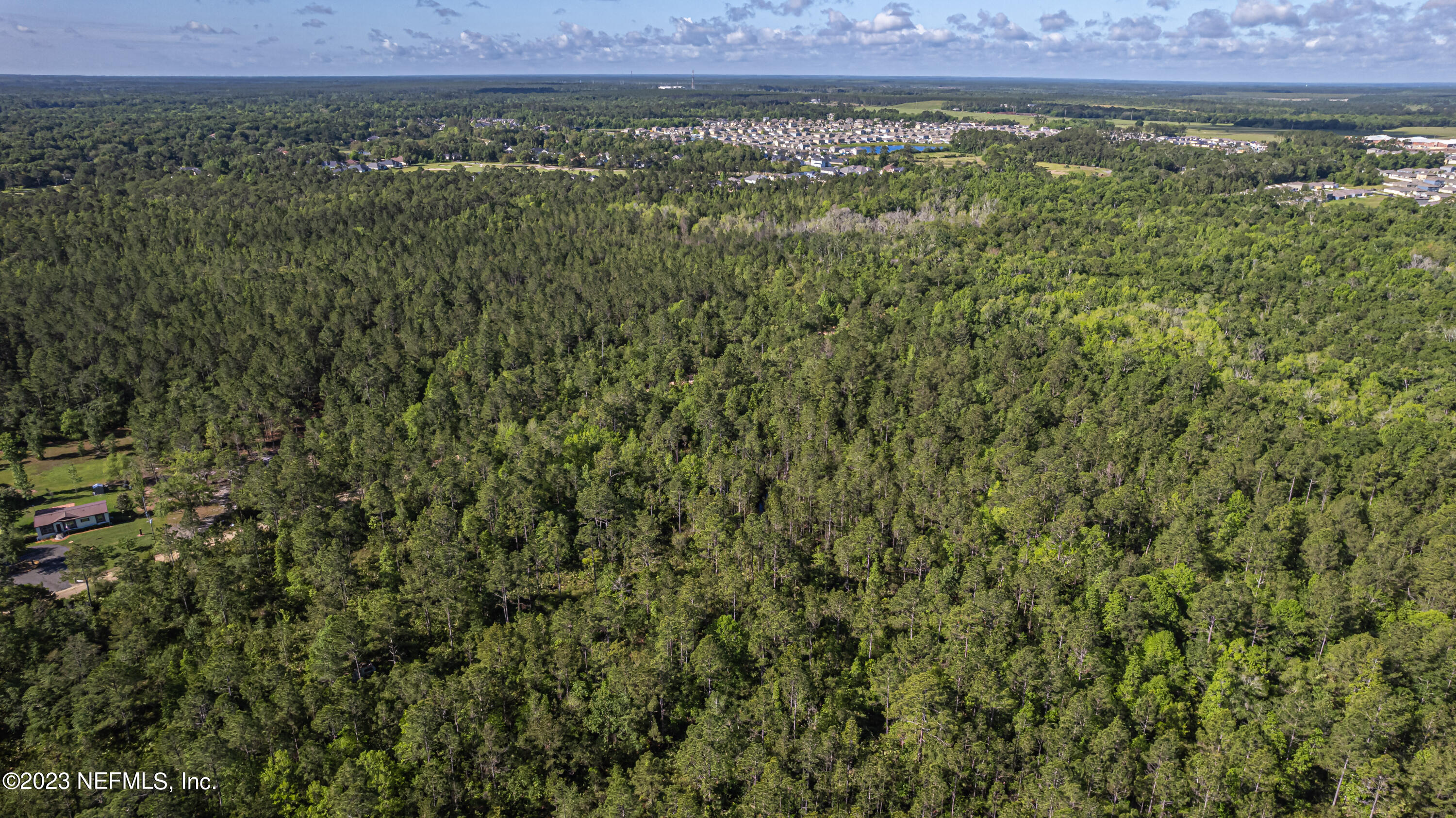 0 Shedd Road Green Cove Springs, FL 32043 - Photo 14 of 20 a view of a lush green field