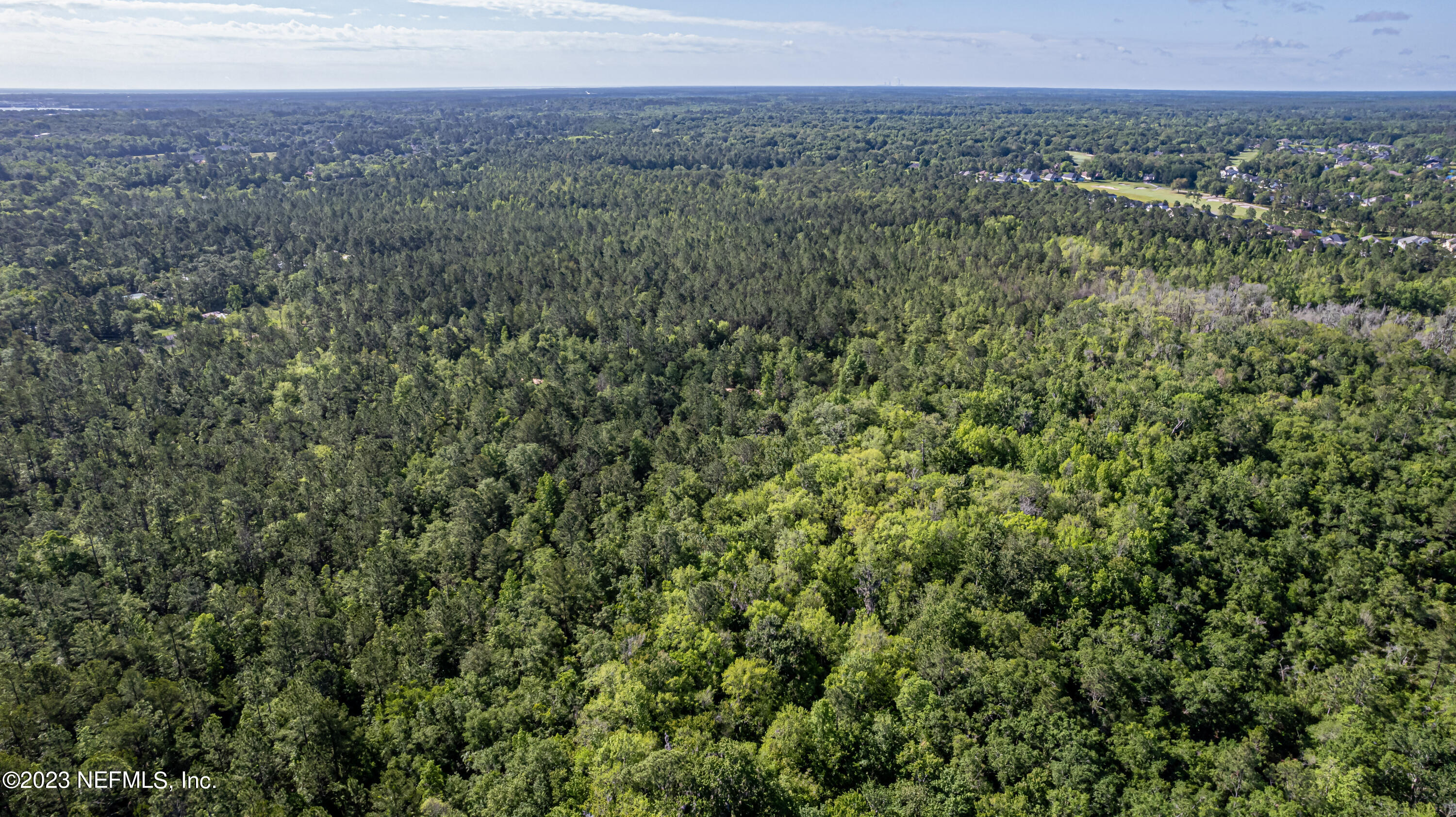 0 Shedd Road Green Cove Springs, FL 32043 - Photo 15 of 20 a view of a lush green forest with trees and some houses