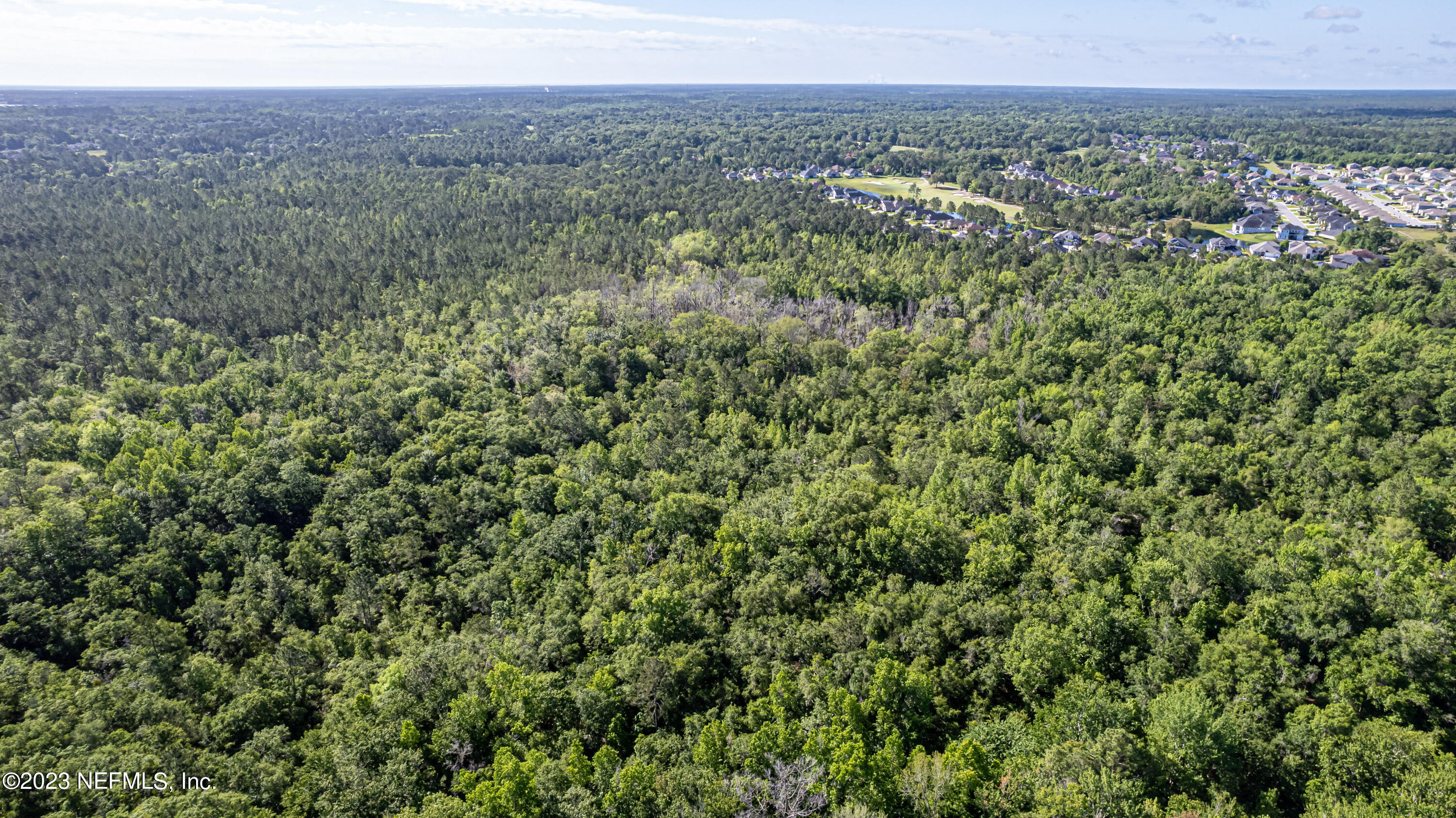 0 Shedd Road Green Cove Springs, FL 32043 - Photo 16 of 20 a view of a city with lush green forest