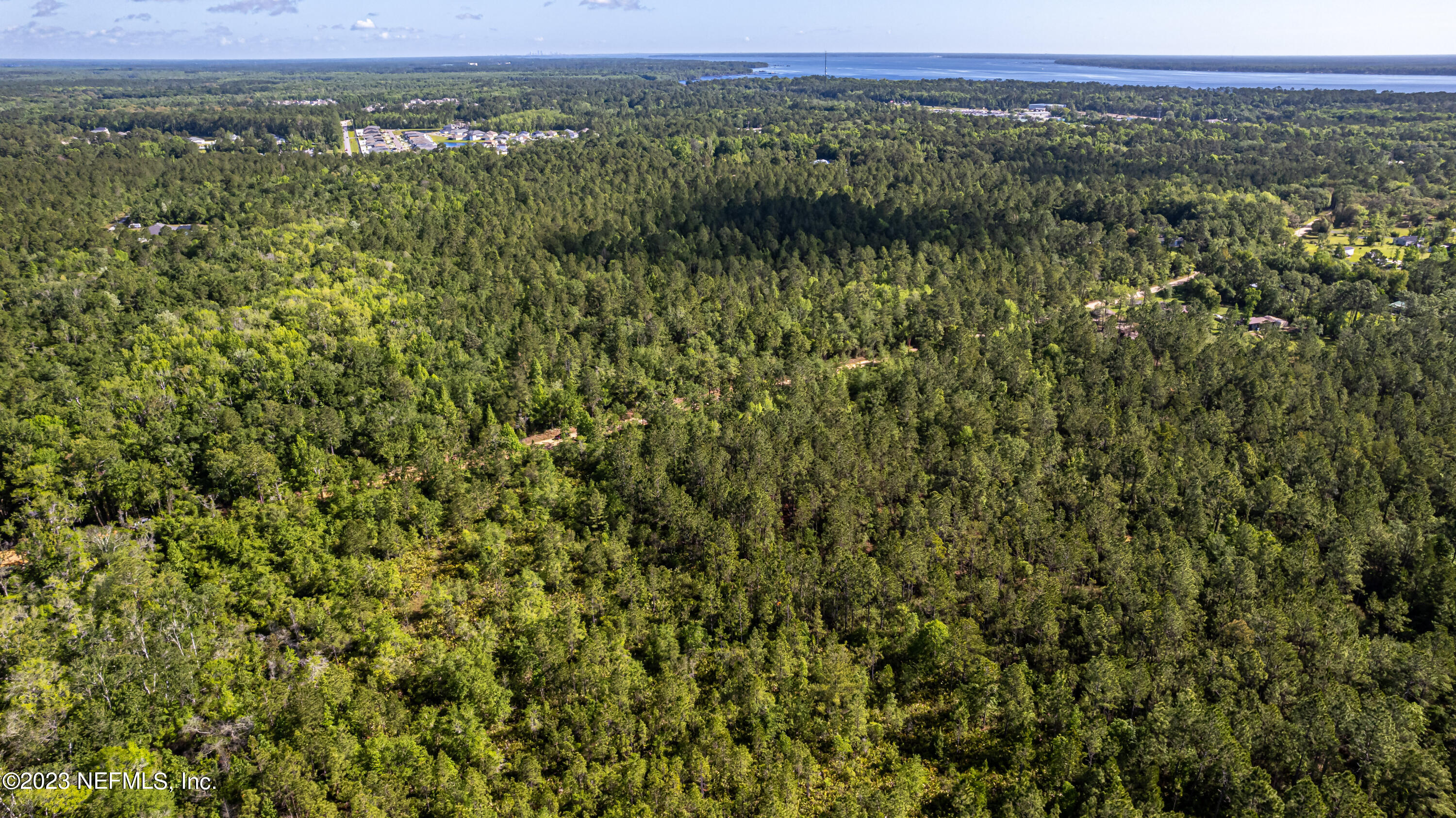 0 Shedd Road Green Cove Springs, FL 32043 - Photo 18 of 20 a view of a green field with lots of bushes